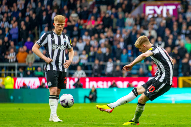 在粉丝中激 在粉丝中激